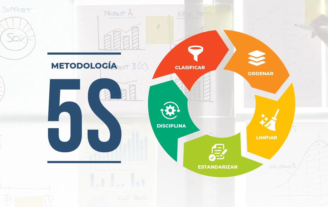 Descubrí qué es la metodología 5S, cómo mejora la eficiencia, el orden y la productividad en las empresas. Conocé por qué en nuestra empresa la llamamos 6S y cómo esta versión potencia aún más sus beneficios.